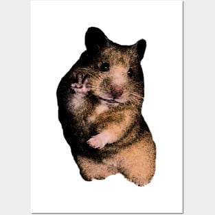 Funny Hamster Shirt, Hamster Meme Shirt, Cute Hamster Dank Meme Quote Shirt Out of Pocket Humor Posters and Art